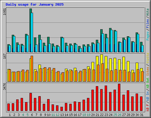 Daily usage for January 2025