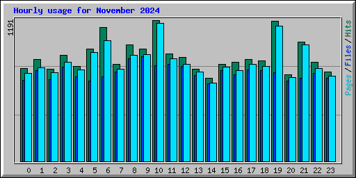 Hourly usage for November 2024