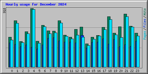 Hourly usage for December 2024