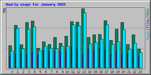 Hourly usage for January 2025