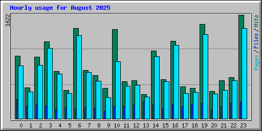 Hourly usage for August 2025