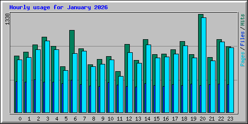Hourly usage for January 2026