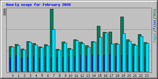 Hourly usage for February 2026