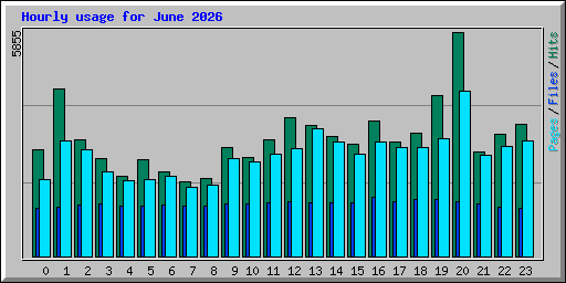 Hourly usage for June 2026