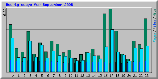 Hourly usage for September 2026