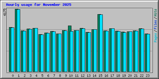 Hourly usage for November 2025