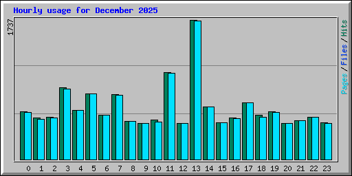 Hourly usage for December 2025