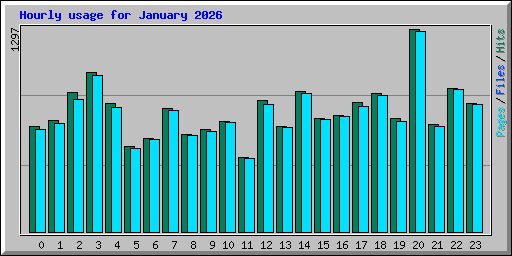 Hourly usage for January 2026