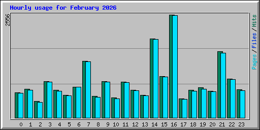Hourly usage for February 2026