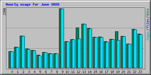 Hourly usage for June 2026